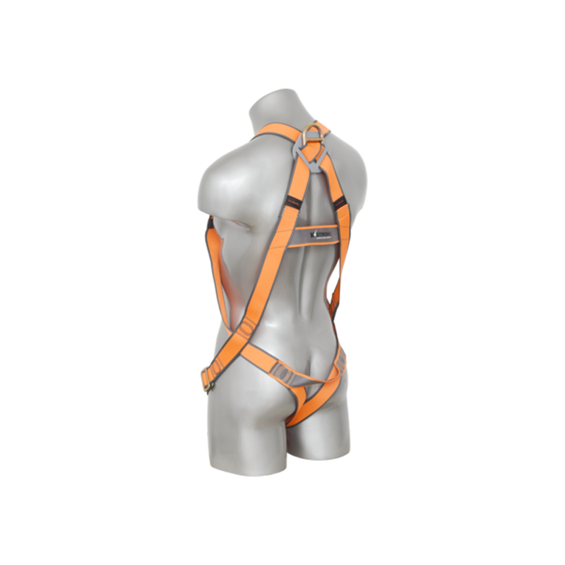 800AFH300101-Back-600x600