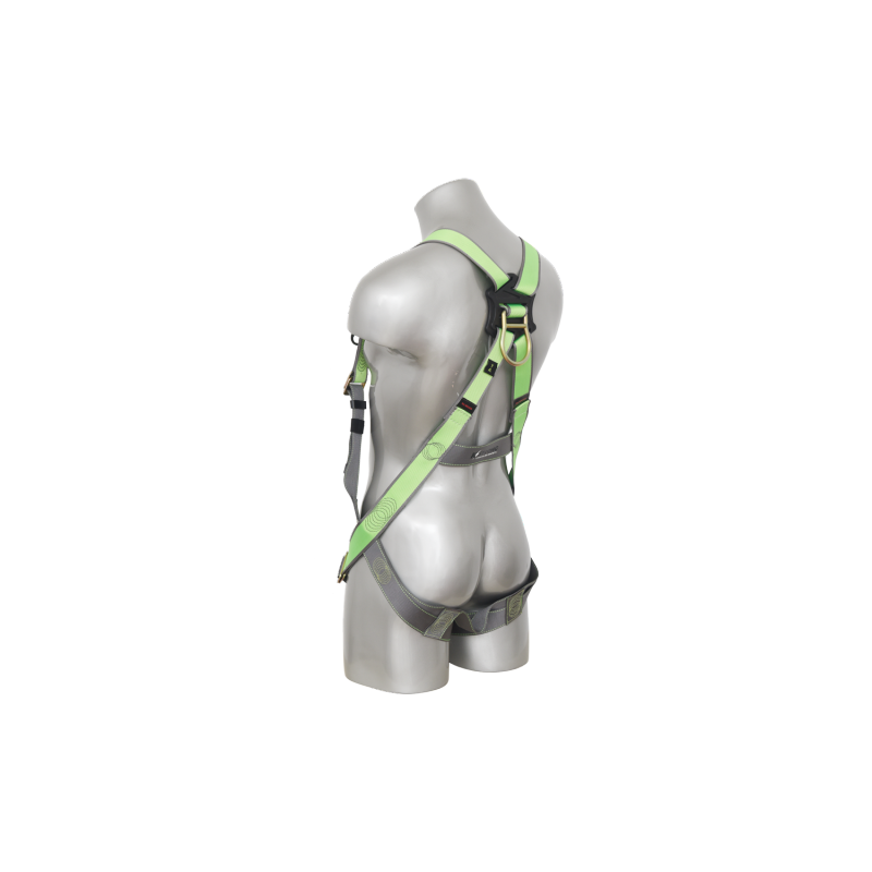 AFH300201-Back