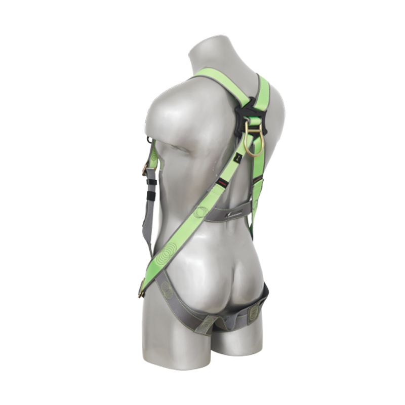 AFH300201-Back
